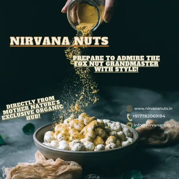 Modern Savory Makhana Nirvana Nuts